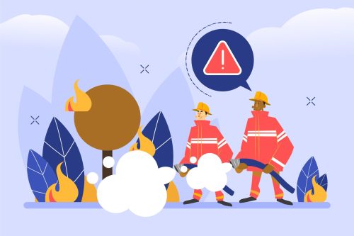 Safety Training Institute